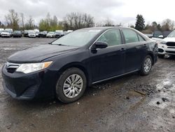 Salvage cars for sale at Portland, OR auction: 2014 Toyota Camry L