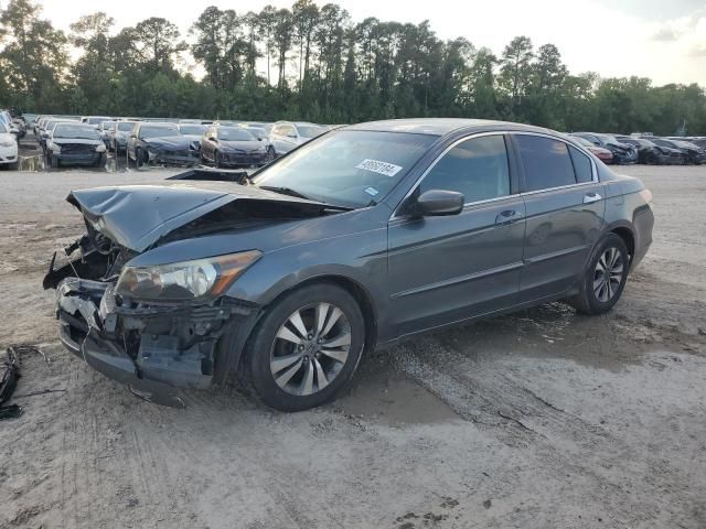 2010 Honda Accord LXP