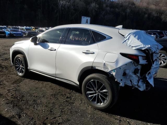 2024 Lexus NX 250 Base