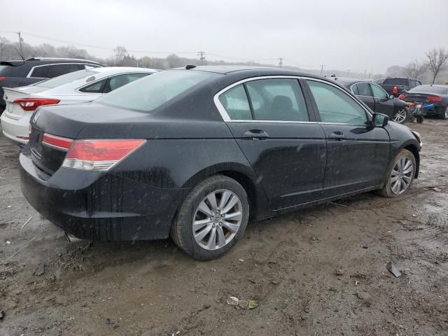 2011 Honda Accord EXL