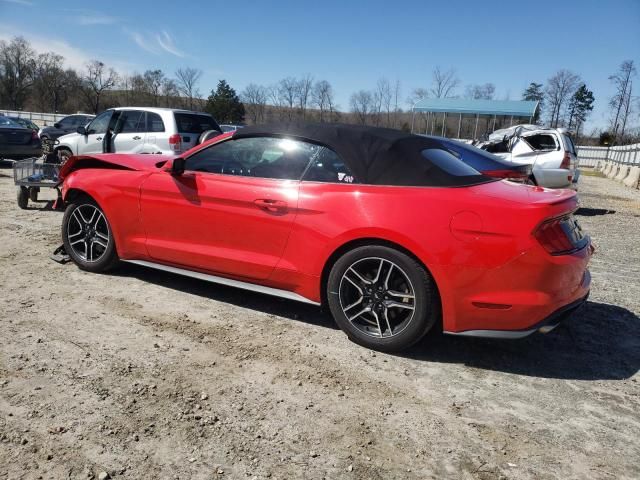 2019 Ford Mustang