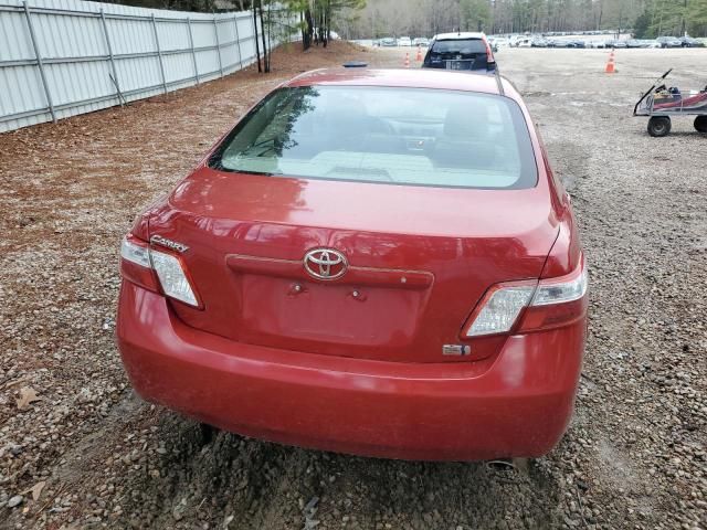 2009 Toyota Camry Hybrid