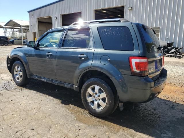 2009 Ford Escape Limited