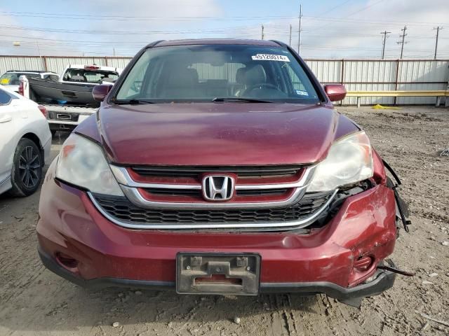 2010 Honda CR-V EXL