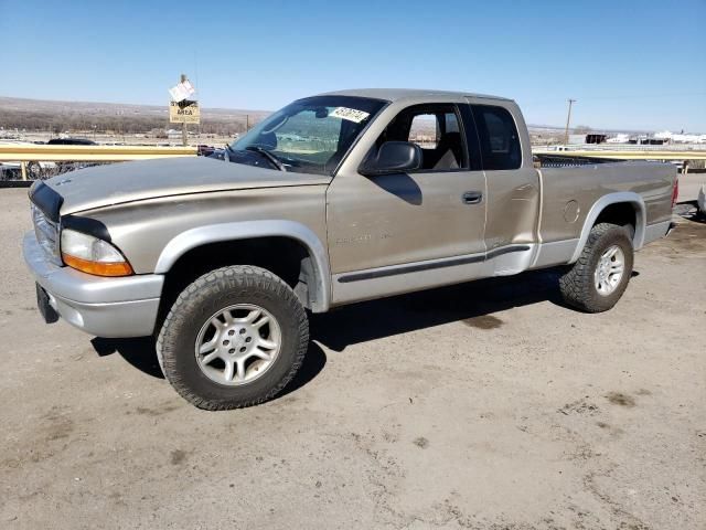 2002 Dodge Dakota SLT