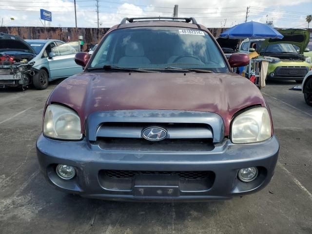 2005 Hyundai Santa FE G