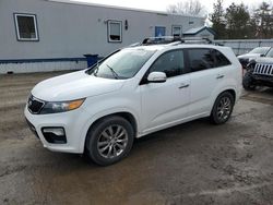 KIA Sorento SX Vehiculos salvage en venta: 2013 KIA Sorento SX