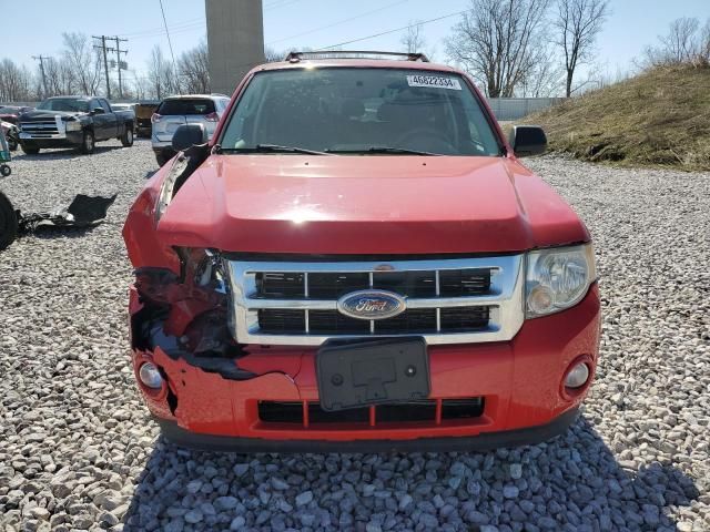 2009 Ford Escape XLT