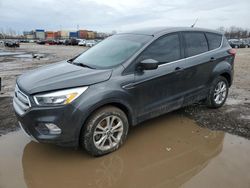 Salvage cars for sale from Copart Columbus, OH: 2019 Ford Escape SE