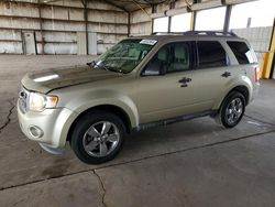 2011 Ford Escape XLT en venta en Phoenix, AZ