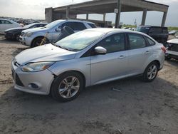 Salvage cars for sale from Copart West Palm Beach, FL: 2014 Ford Focus SE