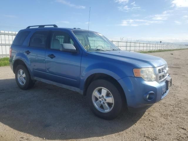 2009 Ford Escape XLT