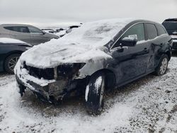 Salvage cars for sale at Magna, UT auction: 2010 Mazda CX-7