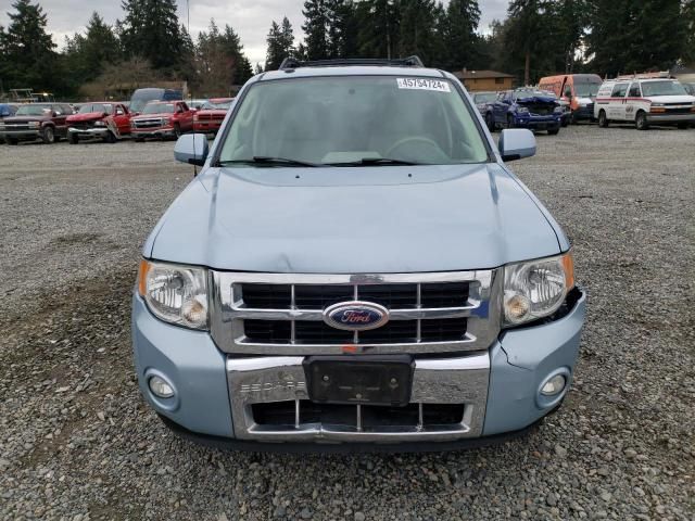 2009 Ford Escape Hybrid