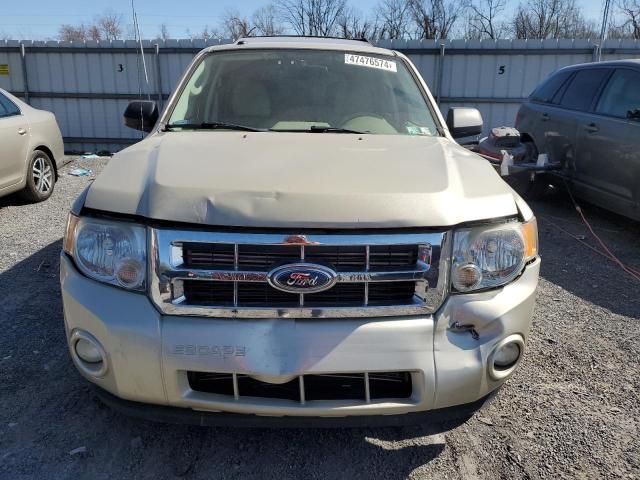 2012 Ford Escape XLT