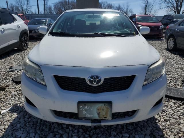 2010 Toyota Corolla Base