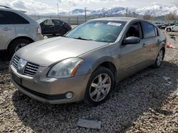 Nissan salvage cars for sale: 2006 Nissan Maxima SE