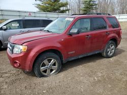 Salvage cars for sale from Copart Davison, MI: 2008 Ford Escape XLT