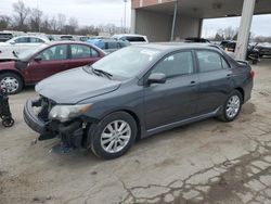 Salvage cars for sale from Copart Fort Wayne, IN: 2010 Toyota Corolla Base