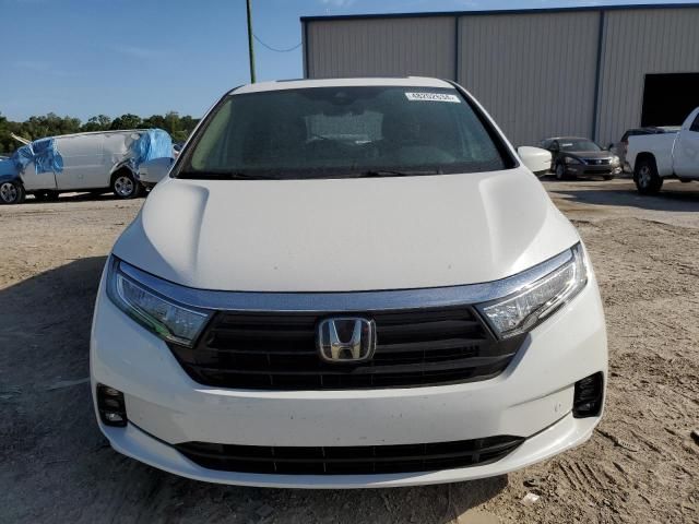 2024 Honda Odyssey Elite