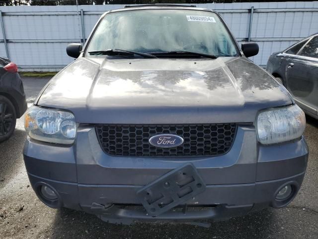 2005 Ford Escape Limited