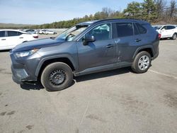 Salvage cars for sale from Copart Brookhaven, NY: 2020 Toyota Rav4 LE