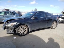 Salvage cars for sale from Copart Hayward, CA: 2008 Honda Accord EXL