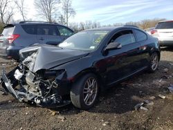 Scion TC Vehiculos salvage en venta: 2005 Scion TC