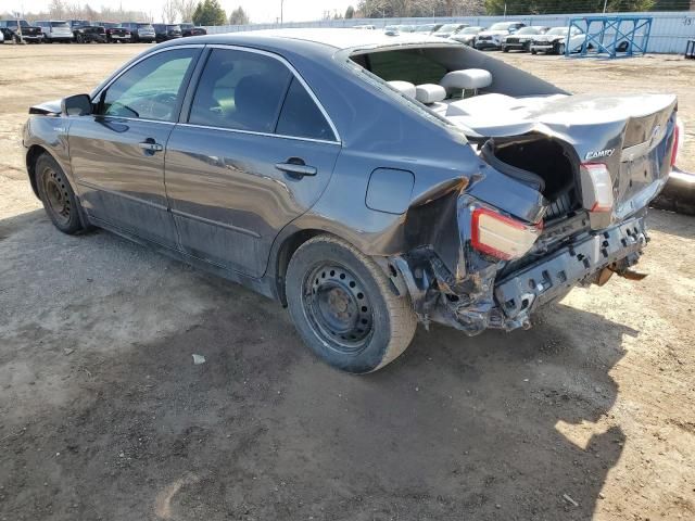 2010 Toyota Camry Hybrid