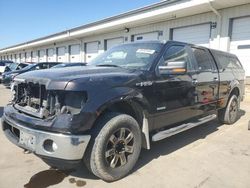 Salvage trucks for sale at Louisville, KY auction: 2013 Ford F150 Supercrew