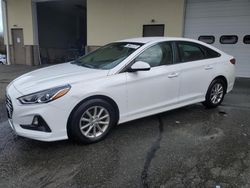 Salvage cars for sale from Copart Exeter, RI: 2019 Hyundai Sonata SE