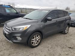 Salvage cars for sale at Arlington, WA auction: 2017 Ford Escape SE