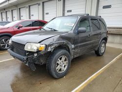 Ford salvage cars for sale: 2005 Ford Escape Limited