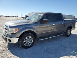 Vehiculos salvage en venta de Copart Haslet, TX: 2013 Ford F150 Supercrew