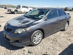 Toyota salvage cars for sale: 2010 Toyota Corolla Base