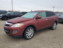Salvage cars for sale at Indianapolis, IN auction: 2010 Mazda CX-9