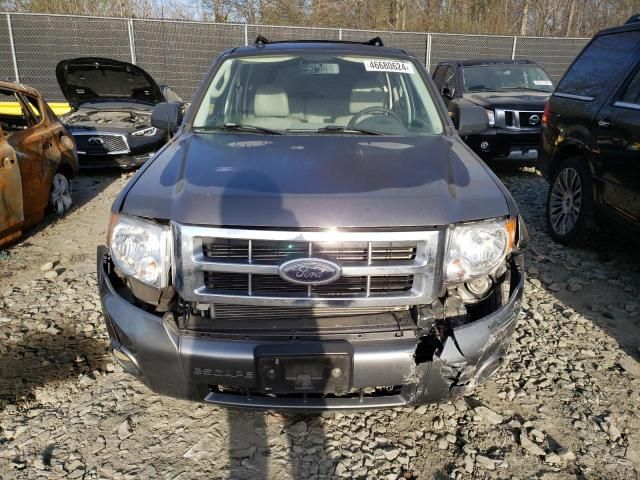 2009 Ford Escape XLT