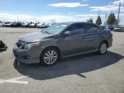 Toyota Vehiculos salvage en venta: 2010 Toyota Corolla Base