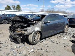 Scion salvage cars for sale: 2007 Scion TC