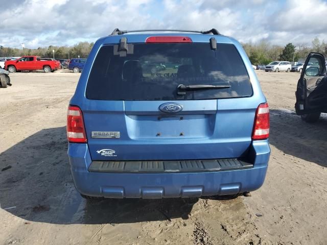 2009 Ford Escape XLT