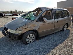 Salvage cars for sale at Mentone, CA auction: 2003 Honda Odyssey EXL