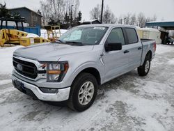 Salvage cars for sale from Copart Anchorage, AK: 2023 Ford F150 Supercrew