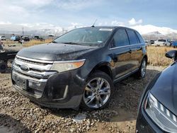 Ford Edge Limited Vehiculos salvage en venta: 2011 Ford Edge Limited