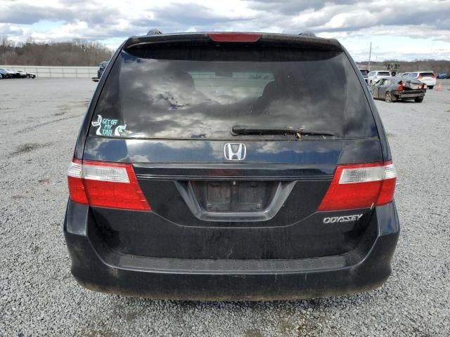 2005 Honda Odyssey EXL