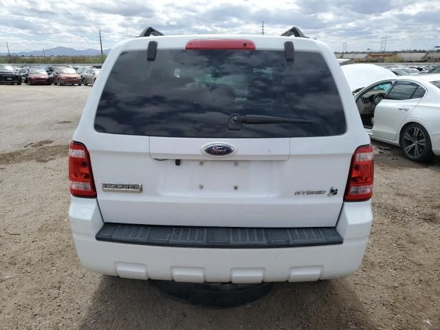 2008 Ford Escape HEV