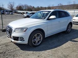 Salvage cars for sale from Copart Grantville, PA: 2014 Audi Q5 TDI Premium Plus