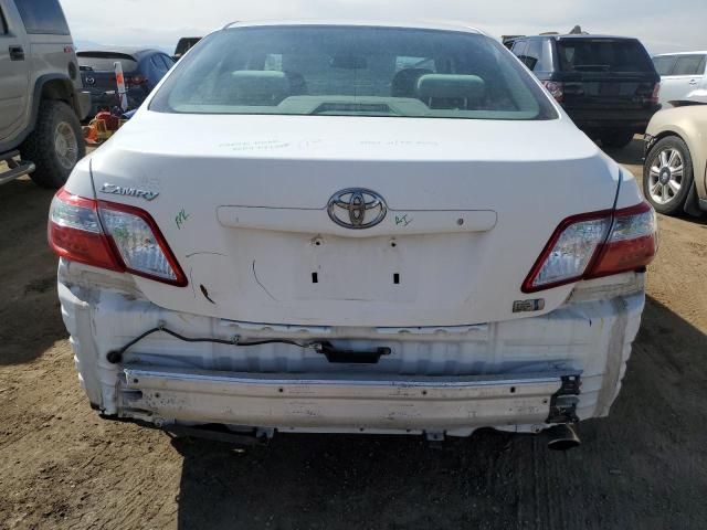 2009 Toyota Camry Hybrid