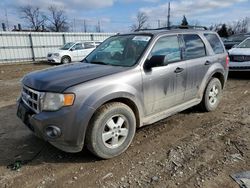 Vehiculos salvage en venta de Copart Lansing, MI: 2010 Ford Escape XLT