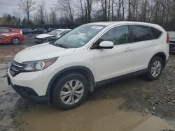 Honda CR-V EX salvage cars for sale: 2013 Honda CR-V EX