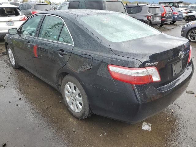 2009 Toyota Camry Hybrid